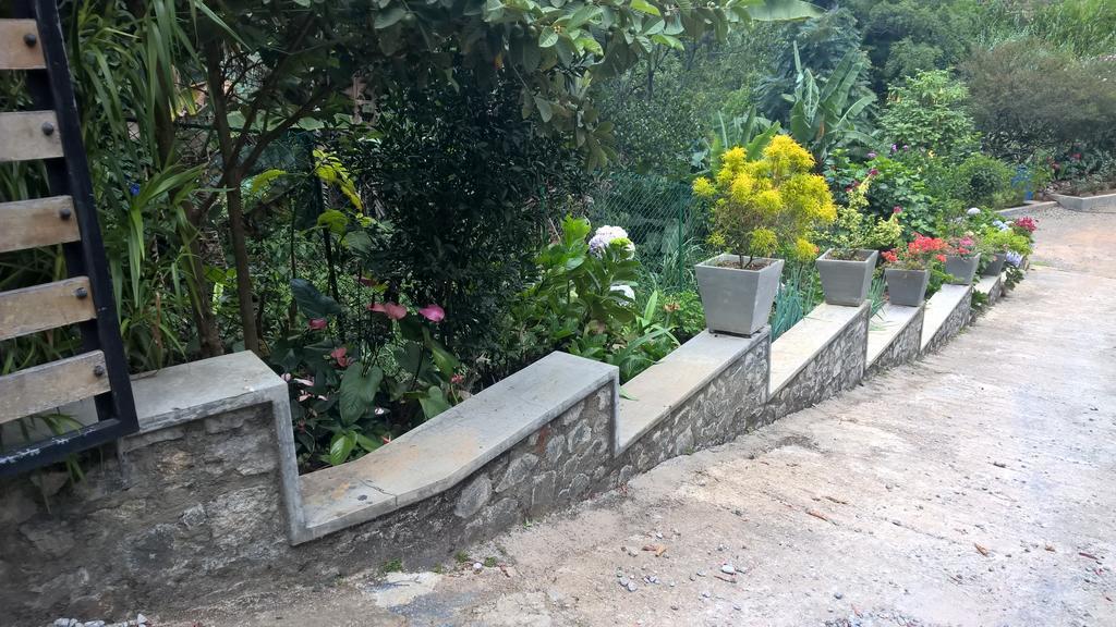 Hotel The Nest By Amarasinghe'S Haputale Exterior foto